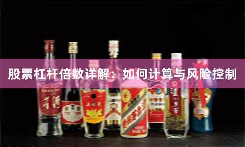 股票杠杆倍数详解：如何计算与风险控制